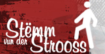 stemmstroos